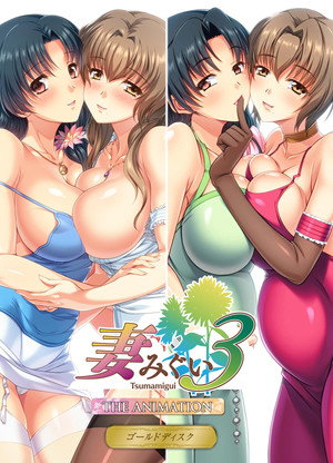妻みぐい3 THE ANIMATION poszter