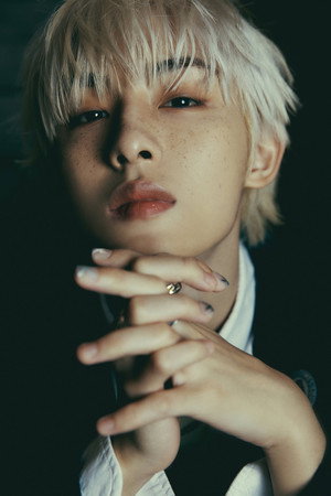 윈윈 profil kép