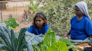 Gardening Australia Junior 3. évad Ep.14 14. epizód