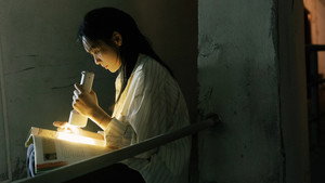焕羽 kép