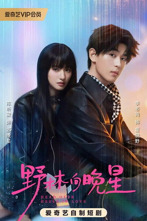 野林向晚星 poszter