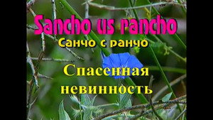 Санчо с ранчо 1. évad Ep.5 5. epizód