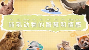 斑马百科 9. évad Ep.12 12. epizód