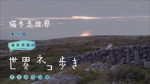 岩合光昭の世界ネコ歩き 1. évad Ep.64 64. epizód