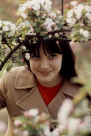 Людмила Савельева profil kép