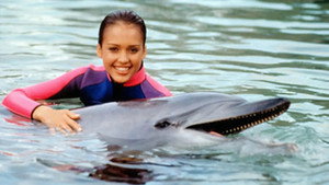 Flipper kép