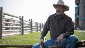 Heartland 13. évad Ep.3 Visszapillantás