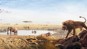 Élet a Serengeti Nemzeti Parkban kép