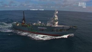 Whale Wars 1. évad Ep.2 2. epizód
