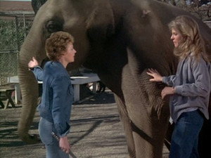 The Bionic Woman 1. évad Ep.5 5. epizód