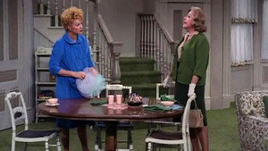 The Lucy Show 2. évad Ep.22 22. epizód