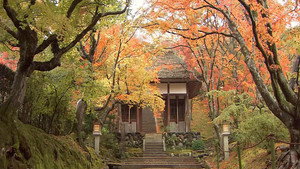 Core Kyoto 1. évad Ep.17 17. epizód