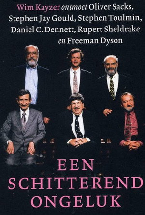 Een schitterend ongeluk