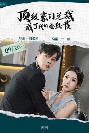 顶级豪门总裁成了我的金丝雀 poszter