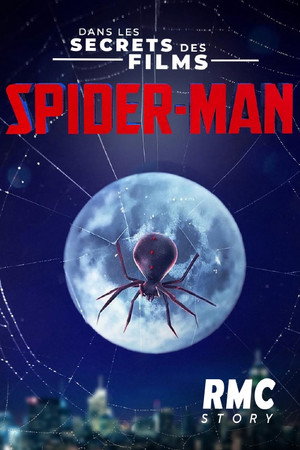 Icons Unearthed: Spider Man poszter