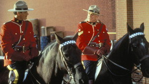 Due South kép