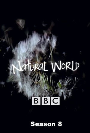 Natural World 8. évad (1989-10-01) poszter