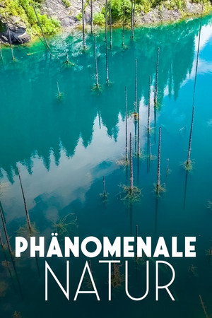 Merveilles de la nature poszter