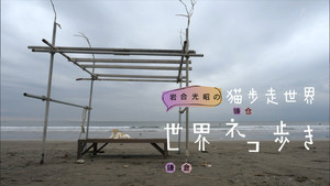 岩合光昭の世界ネコ歩き 1. évad Ep.79 79. epizód