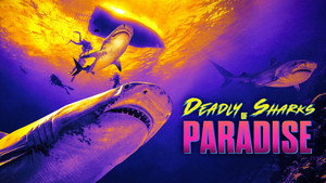 Shark Week 36. évad Ep.18 18. epizód