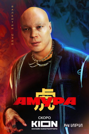 Амура poszter