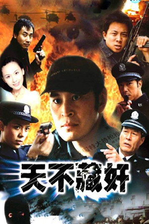 天不藏奸 poszter