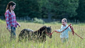 Heartland 10. évad Ep.9 9. epizód