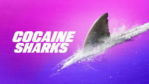 Shark Week 36. évad Ep.13 13. epizód