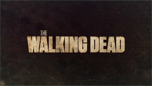 The Walking Dead kép