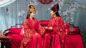 赘婿 kép
