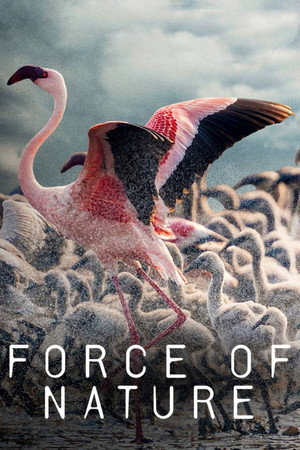 Force of Nature 1. évad (2026-07-26) poszter