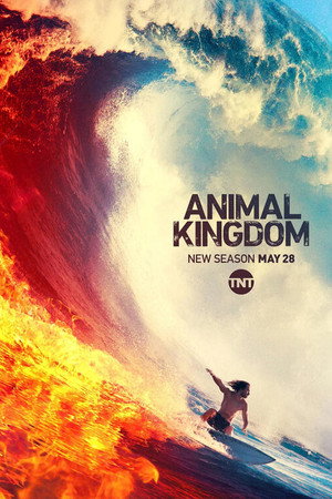 Animal Kingdom poszter