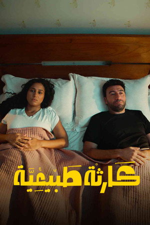 كارثة طبيعية poszter