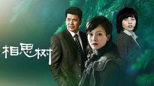 相思树 kép