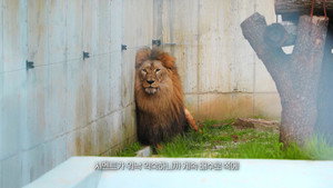 이상한 동물원 1. évad Ep.1 1. epizód