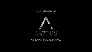 Asylum kép