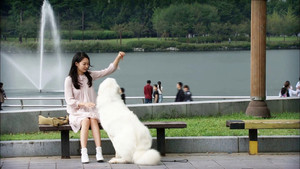 My Girlfriend Is a Gumiho Minisorozat Ep.15 15. epizód