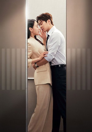 은밀한 감사 poszter