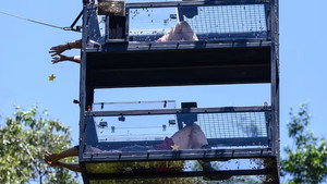 I'm a Celebrity...Get Me Out of Here! 18. évad Ep.8 8. epizód