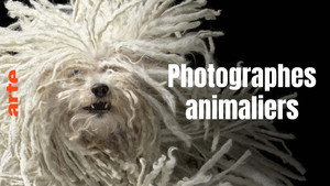 Tierisch fotogen kép