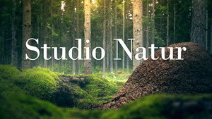 Studio Natur kép