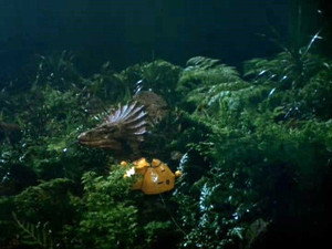 Voyage to the Bottom of the Sea 3. évad Ep.4 4. epizód