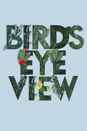 Bird's Eye View 1. évad (2022-03-07) poszter