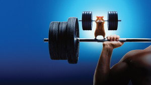 Human vs Hamster kép