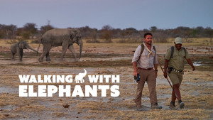 Walking with Elephants kép