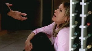 CSI: New York-i helyszínelők 3. évad Ep.6 Nagy totál