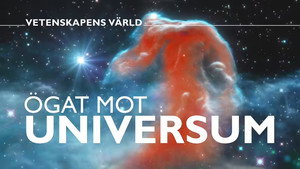 Vetenskapens värld 49. évad Ep.19 19. epizód