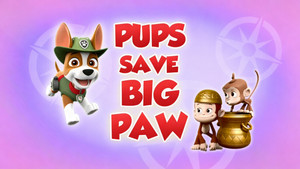 PAW Patrol 5. évad Ep.2 2. epizód