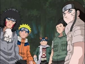Naruto 3. évad Ep.113 Teljes gázzal! A hústornyok csatája!