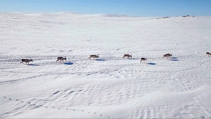 Norge fra lufta 1. évad Ep.2 2. epizód